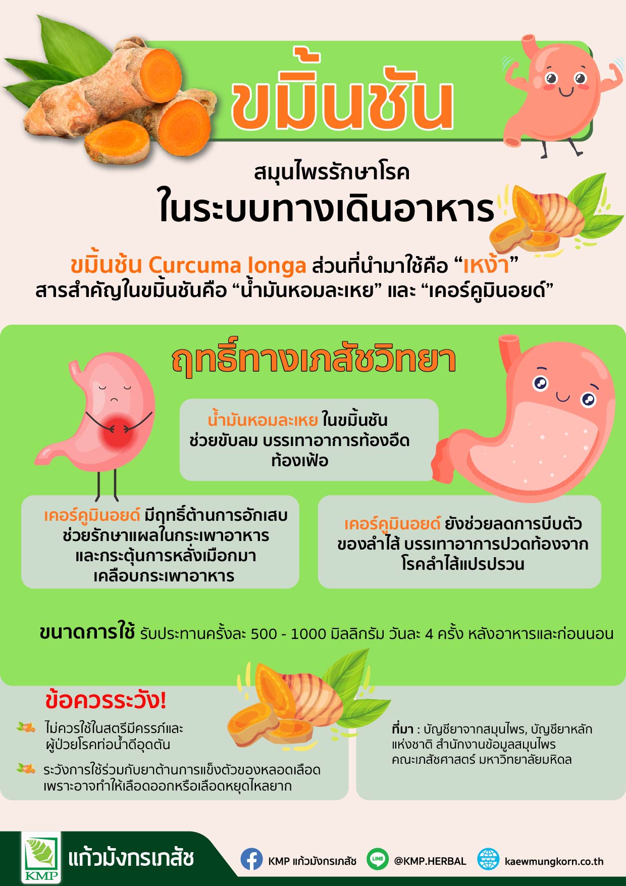 ขมิ้นชัน