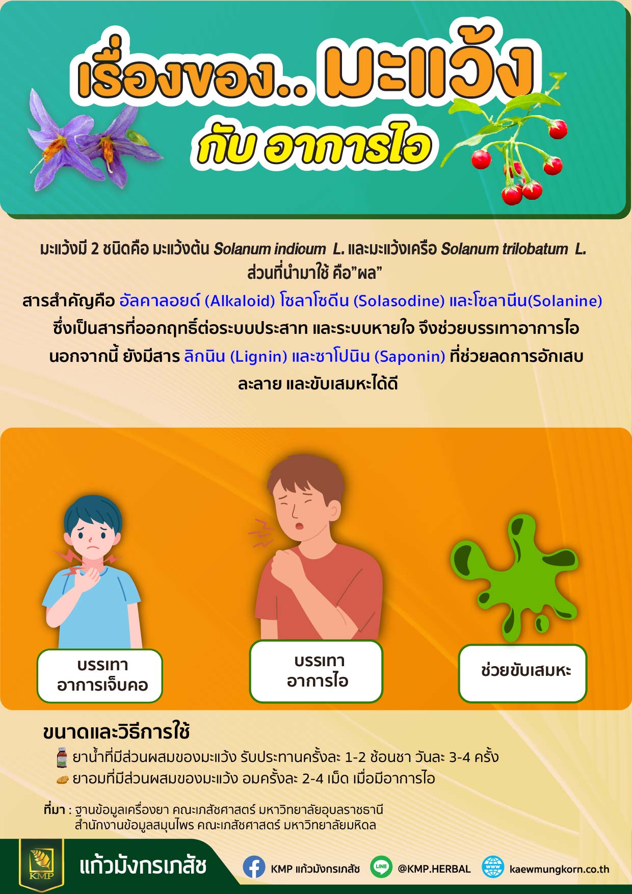 มะแว้ง