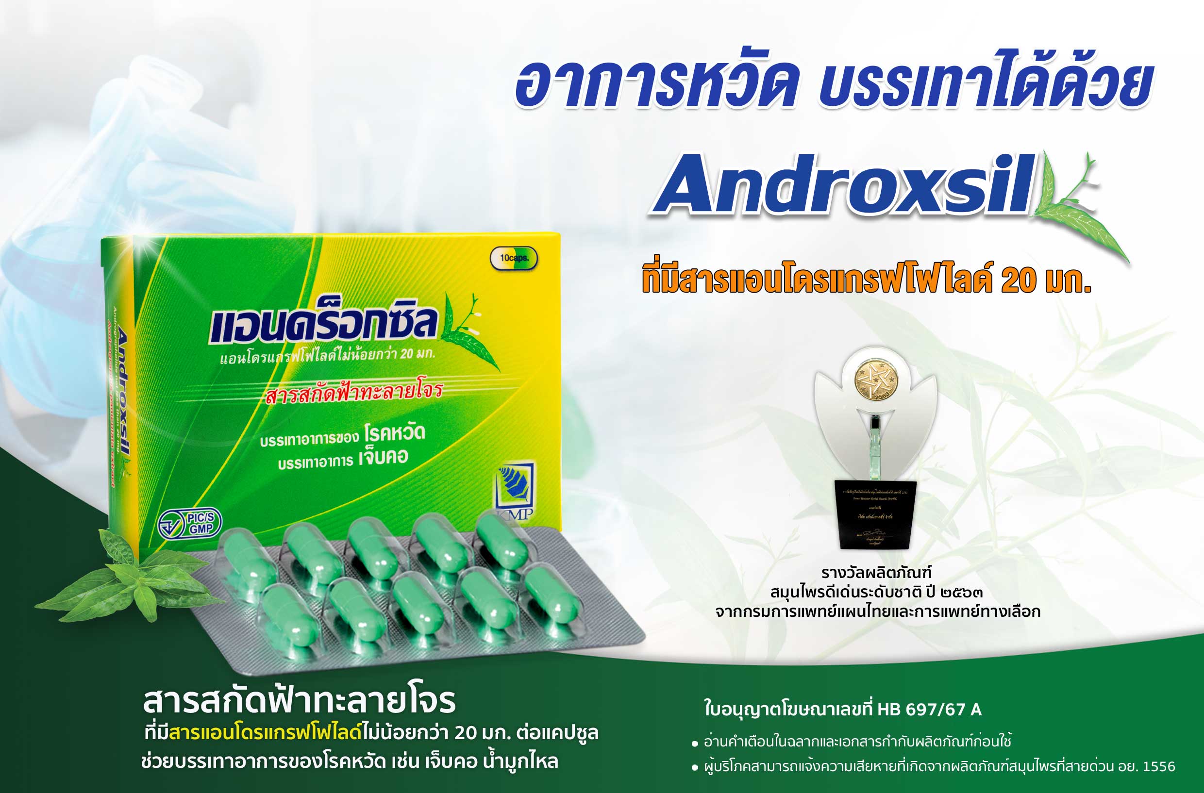 LandingPageแอนดร็อกซิล20