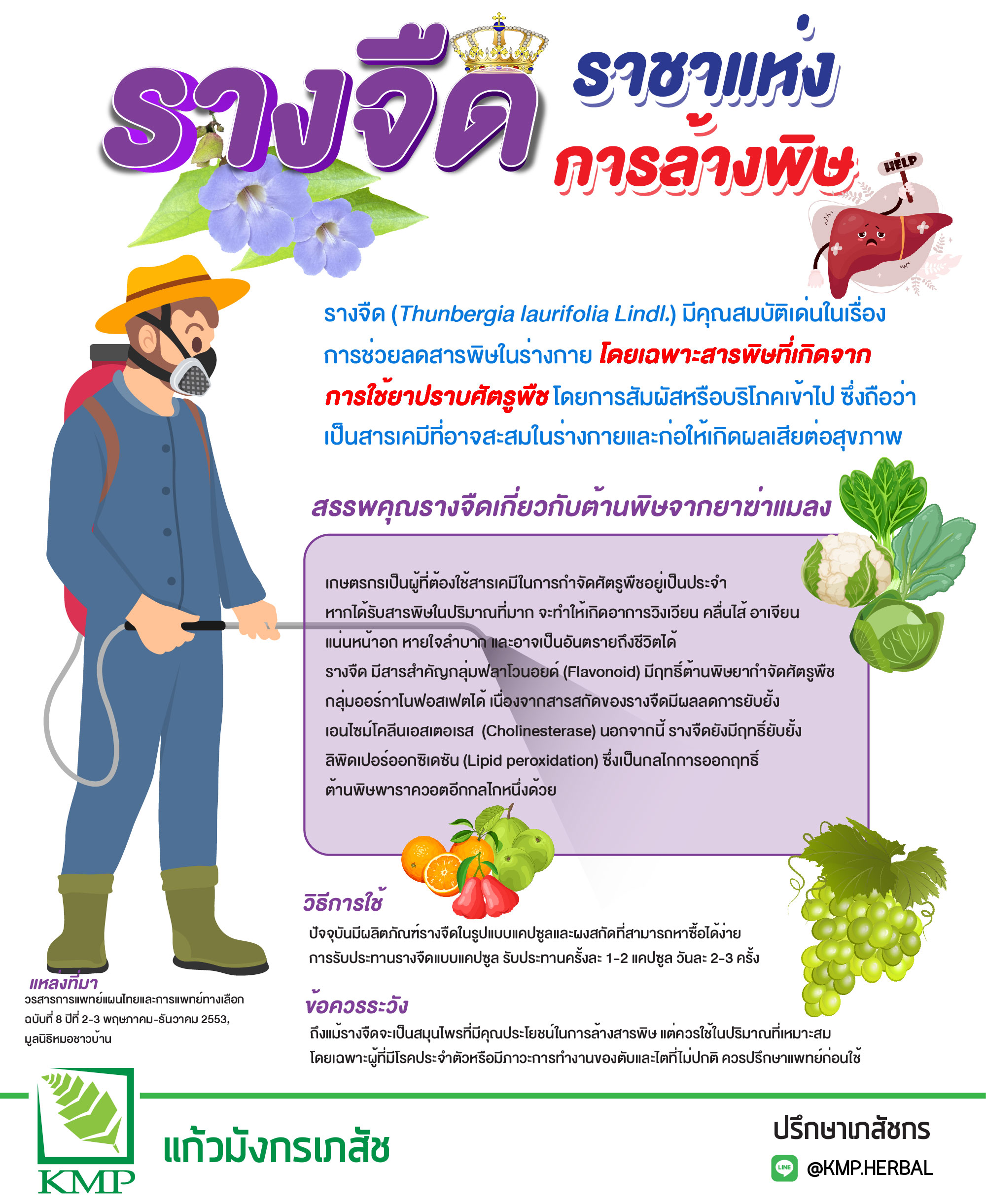 รางจืดล้างสารพิษ
