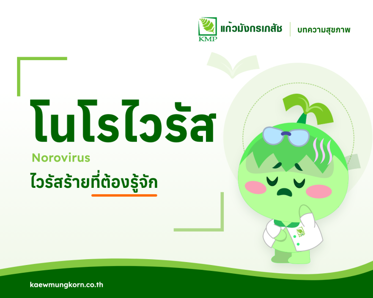 โนโรไวรัส — บทความสุขภาพ KMP