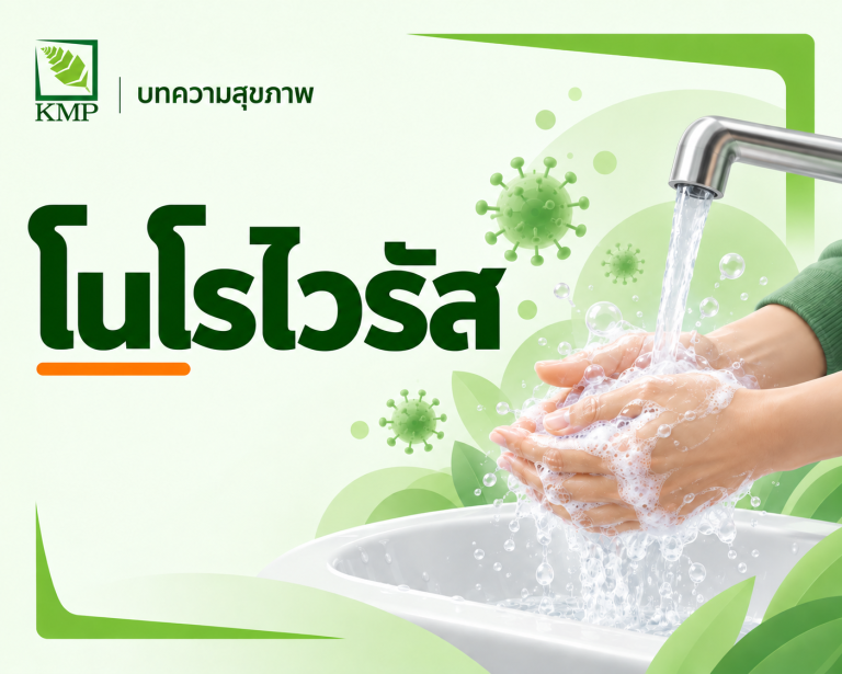 โนโรไวรัส — บทความสุขภาพ KMP