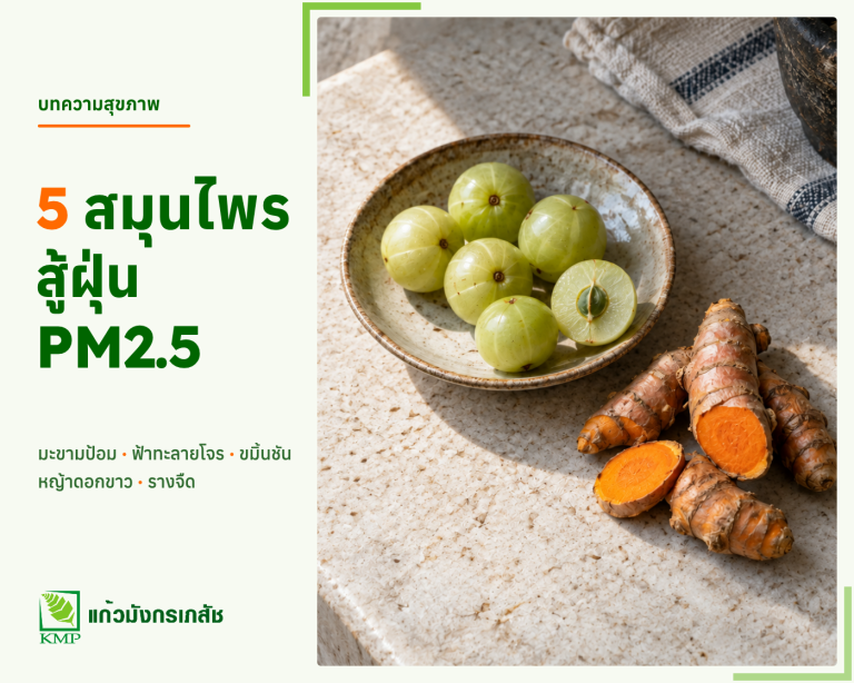 5สมุนไพร สู้ฝุ่น PM2.5 — บทความสุขภาพ KMP