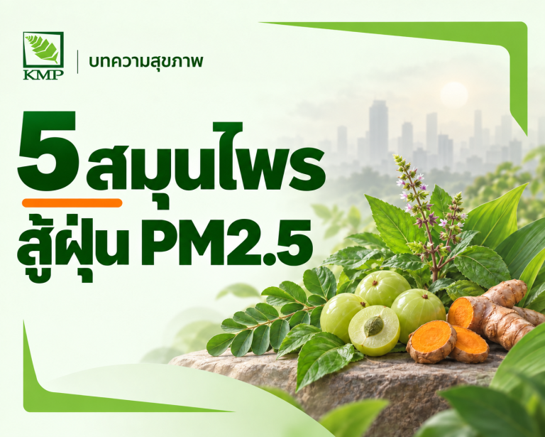 5สมุนไพร สู้ฝุ่น PM2.5 — บทความสุขภาพ KMP