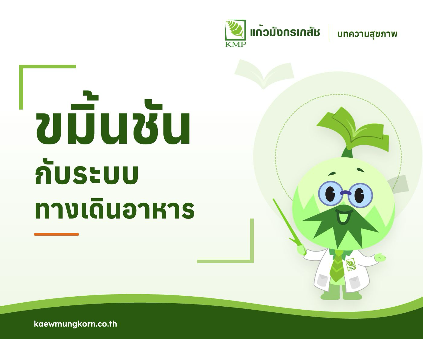 ขมิ้นชัน สมุนไพรรักษาโรค ในระบบทางเดินอาหาร — บทความสุขภาพ KMP