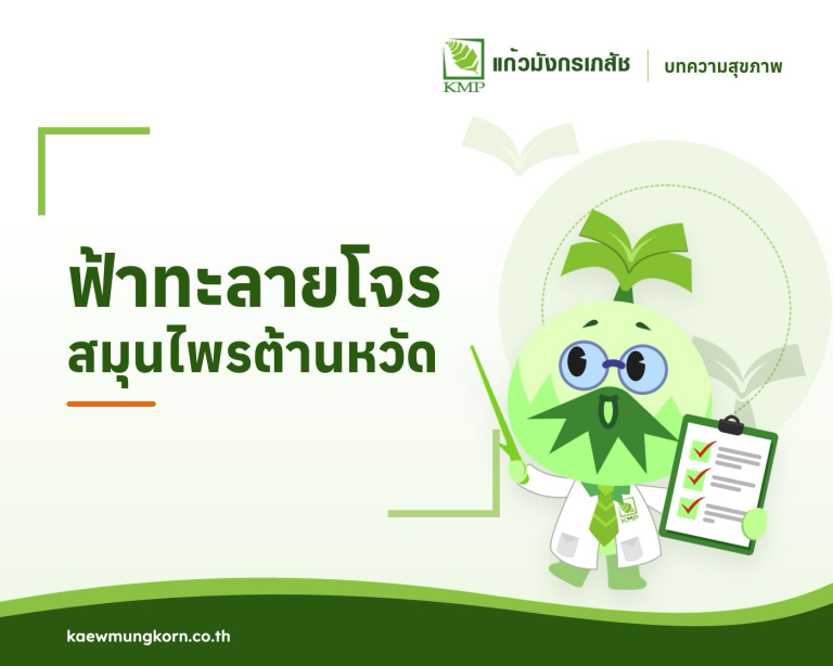 ฟ้าทะลายโจร สมุนไพรต้านหวัด — บทความสุขภาพ KMP