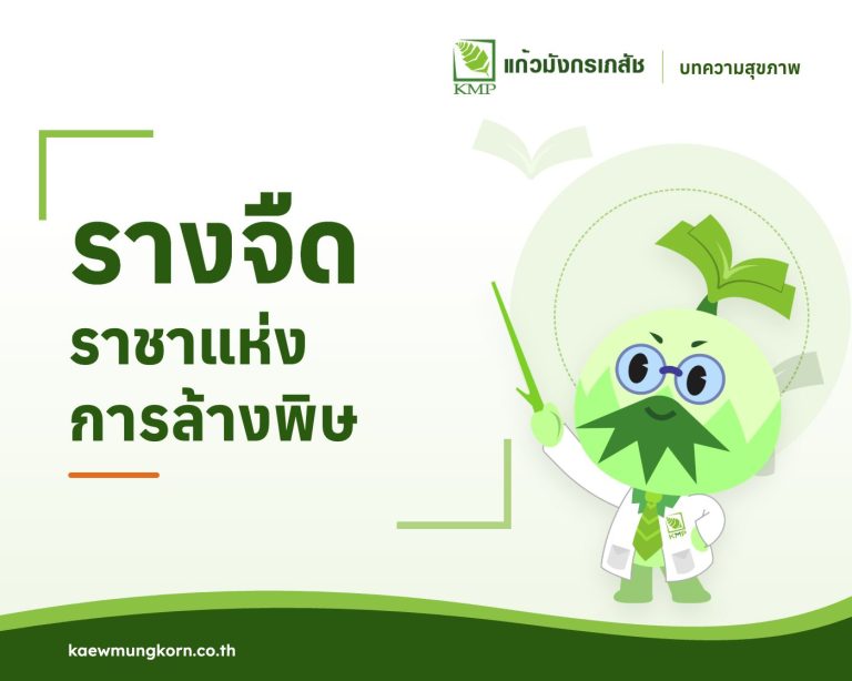 รางจืดราชาแห่งการล้างพิษ — บทความสุขภาพ KMP