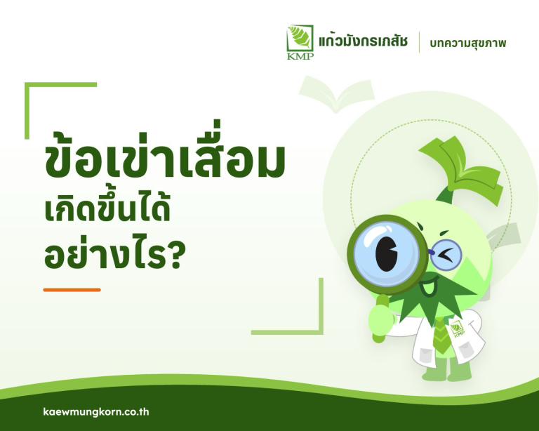 โรคข้อเข่าเสื่อมเกิดขึ้นได้อย่างไร ? — บทความสุขภาพ KMP
